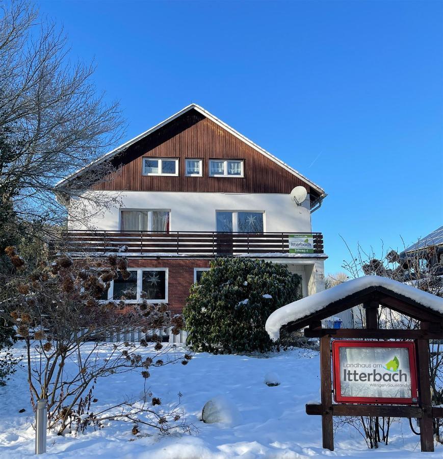 Landhaus Am Itterbach Willingen Willingen  Esterno foto